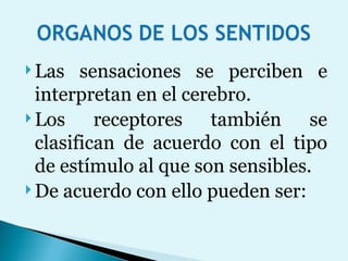 Las sensaciones se perciben e interpretan en el cerebro. Los receptores también se clasifican de acuerdo con el tipo de estímulo al que son sensibles.  De acuerdo con ello pueden ser: 
