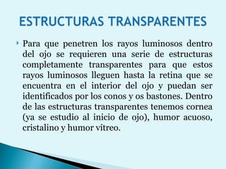 Para que penetren los rayos luminosos dentro del ojo se requieren una serie de estructuras completamente transparentes para que estos rayos luminosos lleguen hasta la retina que se encuentra en el interior del ojo y puedan ser identificados por los conos y os bastones. Dentro de las estructuras transparentes tenemos cornea (ya se estudio al inicio de ojo), humor acuoso, cristalino y humor vítreo. 