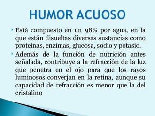 Está compuesto en un 98% por agua, en la que están disueltas diversas sustancias como proteínas, enzimas, glucosa, sodio y potasio. Además de la función de nutrición antes señalada, contribuye a la refracción de la luz que penetra en el ojo para que los rayos luminosos converjan en la retina, aunque su capacidad de refracción es menor que la del cristalino 