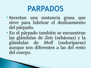 Secretan una sustancia grasa que sirve para lubricar el deslizamiento del párpado.  En el párpado también se encuentran las glándulas de  Zeis  (sebáceas) y la glándulas de  Moll  (sudoríparas) aunque son diferentes a las del resto del cuerpo. 