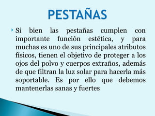 Si bien las pestañas cumplen con importante función estética, y para muchas es uno de sus principales atributos físicos, tienen el objetivo de proteger a los ojos del polvo y cuerpos extraños, además de que filtran la luz solar para hacerla más soportable. Es por ello que debemos mantenerlas sanas y fuertes 