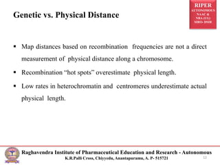 RIPER
AUTONOMOUS
NAAC &
NBA (UG)
SIRO- DSIR
Raghavendra Institute of Pharmaceutical Education and Research - Autonomous
K.R.Palli Cross, Chiyyedu, Anantapuramu, A. P- 515721
Genetic vs. Physical Distance
 Map distances based on recombination frequencies are not a direct
measurement of physical distance along a chromosome.
 Recombination “hot spots” overestimate physical length.
 Low rates in heterochromatin and centromeres underestimate actual
physical length.
12
 