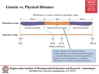 RIPER
AUTONOMOUS
NAAC &
NBA (UG)
SIRO- DSIR
Raghavendra Institute of Pharmaceutical Education and Research - Autonomous
K.R.Palli Cross, Chiyyedu, Anantapuramu, A. P- 515721
Genetic vs. Physical Distance
13
 