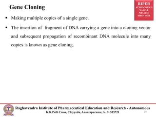 RIPER
AUTONOMOUS
NAAC &
NBA (UG)
SIRO- DSIR
Raghavendra Institute of Pharmaceutical Education and Research - Autonomous
K.R.Palli Cross, Chiyyedu, Anantapuramu, A. P- 515721
Gene Cloning
 Making multiple copies of a single gene.
 The insertion of fragment of DNA carrying a gene into a cloning vector
and subsequent propagation of recombinant DNA molecule into many
copies is known as gene cloning.
19
 