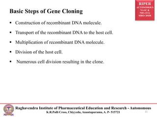 RIPER
AUTONOMOUS
NAAC &
NBA (UG)
SIRO- DSIR
Raghavendra Institute of Pharmaceutical Education and Research - Autonomous
K.R.Palli Cross, Chiyyedu, Anantapuramu, A. P- 515721
Basic Steps of Gene Cloning
 Construction of recombinant DNA molecule.
 Transport of the recombinant DNA to the host cell.
 Multiplication of recombinant DNA molecule.
 Division of the host cell.
 Numerous cell division resulting in the clone.
21
 