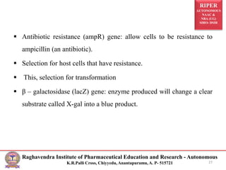 RIPER
AUTONOMOUS
NAAC &
NBA (UG)
SIRO- DSIR
Raghavendra Institute of Pharmaceutical Education and Research - Autonomous
K.R.Palli Cross, Chiyyedu, Anantapuramu, A. P- 515721
 Antibiotic resistance (ampR) gene: allow cells to be resistance to
ampicillin (an antibiotic).
 Selection for host cells that have resistance.
 This, selection for transformation
 β – galactosidase (lacZ) gene: enzyme produced will change a clear
substrate called X-gal into a blue product.
27
 