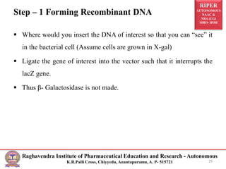 RIPER
AUTONOMOUS
NAAC &
NBA (UG)
SIRO- DSIR
Raghavendra Institute of Pharmaceutical Education and Research - Autonomous
K.R.Palli Cross, Chiyyedu, Anantapuramu, A. P- 515721
Step – 1 Forming Recombinant DNA
 Where would you insert the DNA of interest so that you can “see” it
in the bacterial cell (Assume cells are grown in X-gal)
 Ligate the gene of interest into the vector such that it interrupts the
lacZ gene.
 Thus β- Galactosidase is not made.
29
 