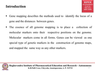 RIPER
AUTONOMOUS
NAAC &
NBA (UG)
SIRO- DSIR
Raghavendra Institute of Pharmaceutical Education and Research - Autonomous
K.R.Palli Cross, Chiyyedu, Anantapuramu, A. P- 515721
Introduction
 Gene mapping describes the methods used to identify the locus of a
gene and the distances between genes.
 The essence of all genome mapping is to place a collection of
molecular markers onto their respective positions on the genome.
Molecular markers come in all forms. Genes can be viewed as one
special type of genetic markers in the construction of genome maps,
and mapped the same way as any other markers.
3
 
