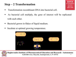 RIPER
AUTONOMOUS
NAAC &
NBA (UG)
SIRO- DSIR
Raghavendra Institute of Pharmaceutical Education and Research - Autonomous
K.R.Palli Cross, Chiyyedu, Anantapuramu, A. P- 515721
Step – 2 Transformation
 Transformation recombinant DNA into bacterial cell.
 As bacterial cell multiply, the gene of interest will be replicated
with each other.
 Bacterial grown in flakes of liquid medium.
 Incubate at optimal growing temperature.
30
 