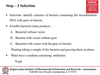 RIPER
AUTONOMOUS
NAAC &
NBA (UG)
SIRO- DSIR
Raghavendra Institute of Pharmaceutical Education and Research - Autonomous
K.R.Palli Cross, Chiyyedu, Anantapuramu, A. P- 515721
Step – 3 Selection
 Selection: identify colonies of bacteria containing the recombination
DNA with gene of interest.
 Possible bacterial clone products :
A. Bacterial without vector
B. Bacteria with vector without gene
C. Bacterial with vector with the gene of interest
Planting taking a sample of the bacteria and growing them on plates.
 Plates have a medium containing: antibiotics
X-gal
31
 