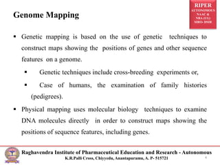 RIPER
AUTONOMOUS
NAAC &
NBA (UG)
SIRO- DSIR
Raghavendra Institute of Pharmaceutical Education and Research - Autonomous
K.R.Palli Cross, Chiyyedu, Anantapuramu, A. P- 515721
Genome Mapping
 Genetic mapping is based on the use of genetic techniques to
construct maps showing the positions of genes and other sequence
features on a genome.
 Genetic techniques include cross-breeding experiments or,
 Case of humans, the examination of family histories
(pedigrees).
 Physical mapping uses molecular biology techniques to examine
DNA molecules directly in order to construct maps showing the
positions of sequence features, including genes.
4
 