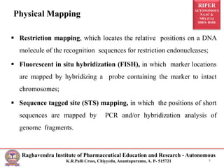 RIPER
AUTONOMOUS
NAAC &
NBA (UG)
SIRO- DSIR
Raghavendra Institute of Pharmaceutical Education and Research - Autonomous
K.R.Palli Cross, Chiyyedu, Anantapuramu, A. P- 515721
Physical Mapping
 Restriction mapping, which locates the relative positions on a DNA
molecule of the recognition sequences for restriction endonucleases;
 Fluorescent in situ hybridization (FISH), in which marker locations
are mapped by hybridizing a probe containing the marker to intact
chromosomes;
 Sequence tagged site (STS) mapping, in which the positions of short
sequences are mapped by PCR and/or hybridization analysis of
genome fragments.
8
 