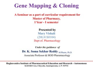 Raghavendra Institute of Pharmaceutical Education and Research - Autonomous
K.R.Palli Cross, Chiyyedu, Anantapuramu, A. P- 515721
Gene Mapping & Cloning
A Seminar as a part of curricular requirement for
Master of Pharmacy,
I Year - I semester
Presented by
Mary Vishali
(20L81S0104)
Dept of. Pharmacology
Under the guidance of
Dr. K. Soma Sekhar Reddy M.Pharm, Ph.D.
Associate Professor & HOD Pharamacology
 