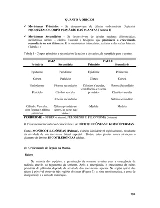 184 
QUANTO À ORIGEM 
 Meristemas Primários – Se desenvolvem de células embrionárias (Apicais). 
PRODUZEM O CORPO PRIMÁRIO DAS PLANTAS (Tabela 1) 
 Meristemas Secundários – Se desenvolvem de células maduras diferenciadas, 
meristemas laterais – câmbio vascular e felogênio que produzem o crescimento 
secundário ou em diâmetro. E os meristemas intercalares, axilares e das raízes laterais. 
(Tabela 1) 
Tabela 1 - Corpos primários e secundários de raízes e de caules, da superfície para o centro. 
RAIZ CAULE 
Primária Secundária Primário Secundário 
Epiderme 
Periderme 
Epiderme 
Periderme 
Córtex Periciclo Córtex Córtex 
Endoderme 
Periciclo 
Floema secundário 
Câmbio vascular 
Xilema secundário 
Cilindro Vascular, 
com floema e xilema 
primários 
Floema Secundário 
Câmbio vascular 
Xilema secundário 
Cilindro Vascular, 
com floema e xilema 
primários 
Xilema primário no 
centro, às vezes não 
visível 
Medula 
Medula 
PERIDERME = SÚBER (externa), FELOGÊNIO E FELODERMA (interna) 
O Crescimento Secundário é característico de DICOTILEDÔNEAS E GIMNOSPERMAS 
Certas MONOCOTILEDÔNEAS (Palmae), exibem considerável espessamento, resultante 
da atividade de um meristema lateral especial. Porém, estas plantas nunca alcançam o 
diâmetro de árvores DICOTILEDÔNEAS adultas. 
d) Crescimento de órgãos da Planta. 
Raízes 
Na maioria das espécies, a germinação da semente termina com a emergência da 
radícula através do tegumento da semente. Após a emergência, o crescimento de raízes 
primárias de plântulas depende da atividade dos meristemas apicais. Na região apical das 
raízes é possível observar três regiões distintas (Figura 7): a zona meristemática, a zona de 
alongamento e a zona de maturação. 
 