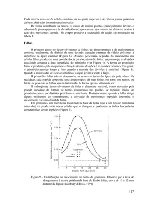 Cada entrenó consiste de células maduras na sua parte superior e de células jovens próximas 
da base, derivadas do meristema intercalar. 
De forma semelhante às raízes, os caules de muitas plantas (principalmente árvores e 
arbustos de gimnospermas e de dicotiledôneas) apresentam crescimento em diâmetro devido à 
ação dos meristemas laterais. Os corpos primário e secundário de caules são mostrados na 
tabela 1. 
187 
Folhas 
O primeiro passo no desenvolvimento de folhas de gimnospermas e de angiospermas 
consiste, usualmente, da divisão de uma das três camadas externas de células próximas à 
superfície do ápice caulinar (Figura 8). Divisões periclinais, seguidas do crescimento das 
células filhas, produzem uma protuberância que é o primórdio foliar, enquanto que as divisões 
anticlinais aumenta a área superficial do primórdio (ver Figura 4). A forma do primórdio 
foliar é produzida pela magnitude e direção de suas divisões e expansões celulares. Em geral, 
o primórdio aparece longo e fino quando a maioria das divisões é periclinal (Figura 8). 
Quando a maioria das divisões é anticlinal, o órgão jovem é curto e largo. 
O primórdio foliar não se desenvolve ao acaso em torno do ápice da parte aérea. Na 
realidade, cada espécie apresenta uma arranjo típico de suas folhas em torno dos ramos, ou 
filotaxia, podendo as folhas serem distribuídas de forma oposta, alternada, etc. 
O subseqüente desenvolvimento da folha é altamente variável, como mostrado pela 
grande variedade de formas de folhas encontradas nas plantas. A expansão inicial do 
primórdio ocorre por divisões periclinais e anticlinais. Posteriormente, quando a folha atinge 
alguns milímetros de comprimento, a atividade de meristemas especiais determina o 
crescimento e a forma final da folha. 
Em gramíneas, um meristema localizado na base da folha (que é um tipo de meristema 
intercalar) vai produzindo novas células que se alongam e produzem as folhas lanceoladas 
características destas espécies (Figura 9). 
Figura 9 – Distribuição do crescimento em folha de graminea. Observe que a taxa de 
alongamento é maior próximo da base do limbo foliar, cerca de 10 a 15 mm 
distante da lígula (Salisbury  Ross, 1991) 
 