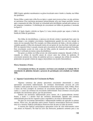 OBS: Lígula: apêndice membranáceo ou piloso localizado entre o limbo e a bainha, nas folhas 
das gramíneas. 
Nestas folhas, a parte mais velha fica no ápice e a parte mais jovem na base, ou seja, próximo 
ao meristema. Esse meristema permanece potencialmente ativo por longos períodos, mesmo 
após a maturação da folha. Ele pode ser estimulado pela desfolhação causada pelo animais ou 
por máquinas cortadeiras. A distribuição do crescimento em folhas de gramíneas é mostrada 
na figura 9. 
OBS: A lígula (ligule), referida na figura 9, é uma estreita porção que separa o limbo da 
bainha de folhas de gramíneas. 
Em folhas de dicotiledôneas, o processo de divisão celular é paralisado bem antes da 
folha atingir o seu completo crescimento, freqüentemente quando ela está com metade ou 
menos do seu tamanho final. Por exemplo, em folhas primárias de feijão, a divisão celular se 
completa quando a folha tem alcançado menos de um quinto de sua área final, indicando que 
80% da expansão foliar é causada somente pelo crescimento de células previamente formadas. 
Este crescimento ocorre em toda a área da folha, porém de maneira não uniforme. Isto 
também é verificado em muitas outras dicotiledôneas. 
Em geral, as células em folhas jovens são relativamente compactas. Quando a folha se 
expande, as células do mesofilo param de crescer antes das células da epiderme. O 
crescimento posterior das células da epiderme provoca a separação das células do mesofilo, 
produzindo um grande volume de espaços intercelulares nos tecidos fotossintéticos. 
188 
Flores, Sementes e Frutos. 
O crescimento de flores, de sementes e de frutos será estudado na Unidade XII. O 
crescimento de plântulas durante o processo de germinação será estudado na Unidade 
XIII. 
e) Algumas Características do Crescimento da Planta 
Algumas estruturas das plantas apresentam crescimento determinado e outras 
apresentam crescimento indeterminado. As estruturas determinadas crescem até certo 
tamanho e então param de crescer. Eventualmente sofrem senescência e morte. Folhas, flores 
e frutos são bons exemplos de estruturas de crescimento determinado. Por outro lado, os 
caules e as raízes são estruturas de crescimento indeterminado. Estas estruturas crescem pelas 
atividades dos meristemas apicais, que são persistentes. 
Embora um meristema indeterminado possa morrer, ele é potencialmente imortal. 
Porém, a morte é o destino final das estruturas determinadas. Quando uma estrutura 
indeterminada passa da fase vegetativa para a reprodutiva, ela torna-se determinada. 
Os tipos de crescimento determinado e indeterminado também são aplicados às plantas 
inteiras. Neste caso, são aplicados outros termos: Espécies monocárpicas florescem somente 
uma vez e morrem; Espécies policárpicas florescem mais de uma vez antes de morrer. 
A maioria das espécies monocárpicas apresentam ciclos de vida relativamente curtos 
(são anuais ou bianuais). No final do ciclo elas florescem, produzem sementes para a sua 
 