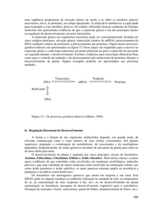 uma seqüência programada de ativação gênica de modo a se obter os produtos gênicos 
necessários, isto é, as proteínas, em tempo apropriado. A célula deve também ter a capacidade 
para responder a estes produtos gênicos. Os estudos utilizando técnicas modernas de biologia 
molecular têm apresentado evidências de que a expressão gênica é um dos principais fatores 
na regulação do desenvolvimento em nível intracelular. 
A expressão gênica em organismos eucariotos pode ser convenientemente dividida em 
cinco estágios principais: ativação gênica; transcrição (síntese de mRNA); processamento do 
RNA; tradução (síntese de proteínas); e processamento das proteínas. Alguns destes processos 
genéticos básicos são apresentados na figura 13. Estas etapas são requeridas para o sucesso na 
expressão gênica e cada etapa representa um ponto potencial no qual a expressão do gen pode 
ser regulada durante o desenvolvimento. Existem evidências para transcrição diferencial bem 
como para o controle da tradução e do processamento pós-traducional de proteínas durante o 
desenvolvimento da planta. Alguns exemplos poderão ser apresentados nas próximas 
unidades. 
193 
Transcrição Tradução 
DNA mRNA Proteínas 
Replicação 
DNA 
Figura 13 – Os processos genéticos básicos (Alberts, 1994) 
b) Regulação Hormonal do Desenvolvimento 
A forma e a função de um organismo multicelular depende, em grande parte, da 
eficiente comunicação entre o vasto número de suas células constituintes. Em plantas 
superiores, regulação e coordenação do metabolismo, do crescimento e da morfogênese 
dependem, freqüentemente, de sinais químicos enviados de uma parte da planta para outra ou 
de uma célula para outra. 
O desenvolvimento da planta é regulado por cinco principais classes de hormônios: 
Auxinas, Giberelinas, Citocininas, Etileno e Ácido Abscísico. Além destas classes, existem 
agora evidências de que esteróides estão envolvidos em mudanças morfológicas induzidas 
pela luz e que uma variedade de outras moléculas estão envolvidas na sinalização celular, tais 
como ácido jasmônico e ácido salicílico, os quais parecem executar papéis na resistência a 
patógenos e na defesa contra herbívoros. 
Os hormônios são mensageiros químicos que atuam em resposta a um sinal. Este 
SINAL pode ser alguma mudança no ambiente (alteração na umidade do solo, na temperatura 
do ar, na concentração de íons, respostas à luz, etc.) ou no desenvolvimento da planta 
(germinação ou dormência, passagem do desenvolvimento vegetativo para o reprodutivo, 
formação de sementes e frutos, senescência, queda de folhas, amadurecimento de frutos, etc.). 
 