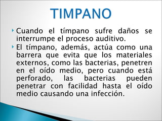  Cuando el tímpano sufre daños se
  interrumpe el proceso auditivo.
 El tímpano, además, actúa como una
  barrera que evita que los materiales
  externos, como las bacterias, penetren
  en el oído medio, pero cuando está
  perforado, las bacterias pueden
  penetrar con facilidad hasta el oído
  medio causando una infección.
 