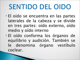  El oído se encuentra en las partes
  laterales de la cabeza y se divide
  en tres partes: oído externo, oído
  medio y oído interno
 El oído conforma los órganos de
  equilibrio y audición. También se
  le denomina órgano vestíbulo
  coclear.
 