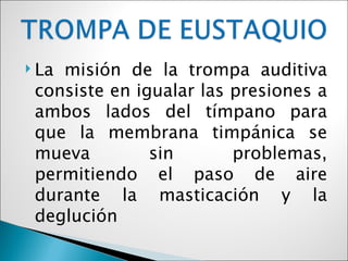  Lamisión de la trompa auditiva
 consiste en igualar las presiones a
 ambos lados del tímpano para
 que la membrana timpánica se
 mueva         sin       problemas,
 permitiendo el paso de aire
 durante la masticación y la
 deglución
 