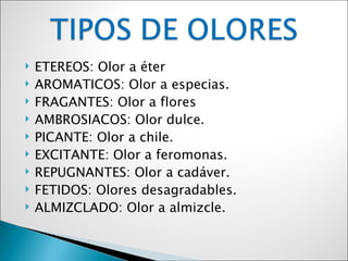    ETEREOS: Olor a éter
   AROMATICOS: Olor a especias.
   FRAGANTES: Olor a flores
   AMBROSIACOS: Olor dulce.
   PICANTE: Olor a chile.
   EXCITANTE: Olor a feromonas.
   REPUGNANTES: Olor a cadáver.
   FETIDOS: Olores desagradables.
   ALMIZCLADO: Olor a almizcle.
 