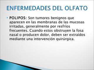    POLIPOS: Son tumores benignos que
    aparecen en las membranas de las mucosas
    irritadas, generalmente por resfríos
    frecuentes. Cuando estos obstruyen la fosa
    nasal o producen dolor, deben ser extraídos
    mediante una intervención quirúrgica.
 