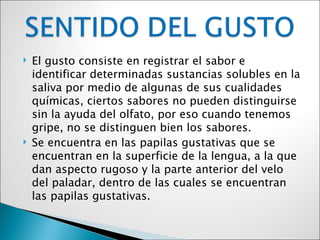    El gusto consiste en registrar el sabor e
    identificar determinadas sustancias solubles en la
    saliva por medio de algunas de sus cualidades
    químicas, ciertos sabores no pueden distinguirse
    sin la ayuda del olfato, por eso cuando tenemos
    gripe, no se distinguen bien los sabores.
   Se encuentra en las papilas gustativas que se
    encuentran en la superficie de la lengua, a la que
    dan aspecto rugoso y la parte anterior del velo
    del paladar, dentro de las cuales se encuentran
    las papilas gustativas.
 