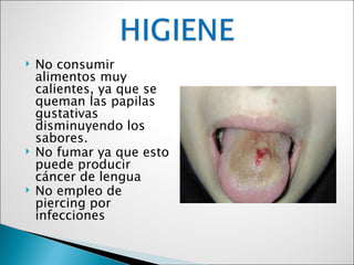    No consumir
    alimentos muy
    calientes, ya que se
    queman las papilas
    gustativas
    disminuyendo los
    sabores.
   No fumar ya que esto
    puede producir
    cáncer de lengua
   No empleo de
    piercing por
    infecciones
 