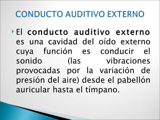  Elconducto auditivo externo
 es una cavidad del oído externo
 cuya función es conducir el
 sonido        (las      vibraciones
 provocadas por la variación de
 presión del aire) desde el pabellón
 auricular hasta el tímpano.
 