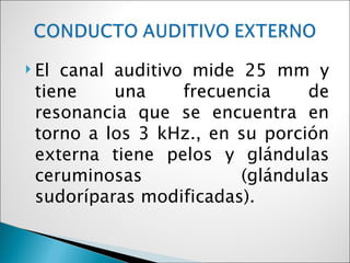  Elcanal auditivo mide 25 mm y
 tiene    una     frecuencia    de
 resonancia que se encuentra en
 torno a los 3 kHz., en su porción
 externa tiene pelos y glándulas
 ceruminosas            (glándulas
 sudoríparas modificadas).
 