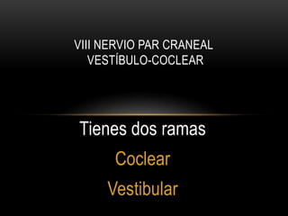 Tienes dos ramas
Coclear
Vestibular
VIII NERVIO PAR CRANEAL
VESTÍBULO-COCLEAR
 