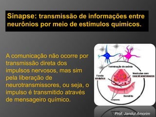 Sinapse: transmissão de informações entre 
neurônios por meio de estímulos químicos. 
Prof. Janduí Amorim 
A comunicação n...