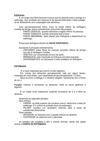 ESÔFAGO
É um longo tubo fibro-músculo-mucoso que se estende entre a faringe e o
estômago. Sua cavidade (em repouso) é de aproximadamente o dedo polegar,
só se distendendo com a passagem dos alimentos.
Com aproximadamente 25cm, inicia na borda inferior da cartilagem
cricóide da laringe, desce verticalmente, possuindo três porções
- PARTE CERVICAL: quando atravessa a região inferior do pescoço
- PARTE TORÁCICA: quando atravessa todo o tórax
- PARTE ABDOMINAL: após passar pelo diafragma e desembocar no
estômago
Passa pelo diafragma através do HIATO ESOFÁGICO.
Apresenta 4 principais estreitamentos:
- CRICOÍDEO: pelas fibras do músculo constritor inferior da faringe
que vão à cartilagem cricóide;
- AÓRTICO: por compressão do arco da aorta;
- BRÔNQUICO: pela impressão do brônquio principal esquerdo;
- DIAFRAGMÁTICO: ao atravessar o hiato esofágico do diafragma.
ESTÔMAGO
É a maior expansão que ocorre no tubo digestivo.
Em virtude dos alimentos permanecerem nele por algum tempo,
necessita ser mais amplo, com capacidade de aproximadamente 1,5 litros.
Situa-se entre o esôfago e o intestino delgado. Geralmente tem a forma
de um J.
Função: misturar e armazenar os alimentos, onde os sucos gástricos o
digerem.
É um órgão muito distensível, podendo armazenar de 2 a 3 litros de
alimento.
Apresenta as seguintes porções:
Dois orifícios:
- CÁRDIA: na parte superior da curvatura menor, deixa livre a base do
estômago. É o orifício de entrada (boca do estômago).
- PILORO: constitui um verdadeiro esfíncter para a saída de
substâncias alimentares.
Duas paredes:
- ANTERIOR: se relaciona com a parede anterior do abdome.
- POSTERIOR: se relaciona com o pâncreas.
As paredes são paralelas e têm o mesmo formato, sendo sua região
central o CORPO DO ESTÔMAGO.
 