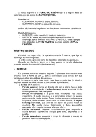 A cúpula superior é o FUNDO DO ESTÔMAGO, e a região distal do
estômago, que se afunila é a PARTE PILÓRICA.
Duas bordas:
- CURVATURA MENOR: à direita, côncava.
- CURVATURA MAIOR: à esquerda, convexa.
Ambas são bastante irregulares, em função dos movimentos peristálticos.
Duas tuberosidades:
- SUPERIOR: maior, constitui o fundo do estômago.
- INFERIOR: menor, representada pelo segmento terminal do
estômago, com a forma de funil, PARTE PILÓRICA, onde a porção
mais dilatada é o ANTRO PILÓRICO e a mais estreita o CANAL
PILÓRICO.
INTESTINO DELGADO
Constitui um longo tubo, de aproximadamente 7 metros, que liga ao
estômago ao intestino grosso.
É onde ocorre a principal parte da digestão e absorção das partículas.
Consiste do duodeno, jejuno e o íleo, presos à parede abdominal
posterior através do mesentério (lâmina serosa).
 DUODENO
É a primeira porção do intestino delgado. O pâncreas é sua relação mais
próxima. Tem a forma de um C, com a convexidade para direita. Em sua
concavidade aloja-se a cabeça do pâncreas.
O duodeno é a parte mais curta, mais larga e mais fina do intestino
delgado. Recebe as aberturas dos ductos biliares e pancreático.
É dividido em 4 porções:
- Porção superior: forma um ângulo reto com o piloro. Após o óstio
pilórico há uma dilatação, o bulbo duodenal. Ao se aproximar do rim
direito apresenta a flexura superior.
- Porção descendente: é a parte mais importante. Não possui
mesentério. O ducto colédoco e o pancreático entram na parede
póstero-medial desta porção. Esses ductos penetram obliquamente
na parede, onde se unem para formar um ducto dilatado, a ampola
hematopancreática, que abre-se no ápice da papila maior do
duodeno. Na papila menor desemboca o ducto pancreático
acessório. Inferiormente forma-se a flexura inferior.
- Porção horizontal: dirige-se horizontalmente para esquerda e
depois torna-se ligeiramente oblíqua para cima, originando a 4ª
porção.
- Porção ascendente: encontra o corpo do pâncreas e une-se ao
jejuno na flexura duodenojejunal.
 