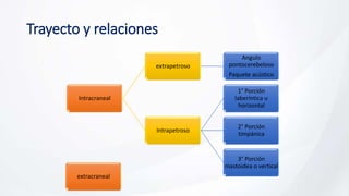 Trayecto y relaciones
Intracraneal
extrapetroso
Angulo
pontocerebeloso
Paquete acústico
Intrapetroso
1° Porción
laberíntica u
horizontal
2° Porción
timpánica
3° Porción
mastoidea o vertical
extracraneal
 