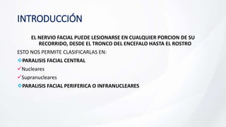 INTRODUCCIÓN
EL NERVIO FACIAL PUEDE LESIONARSE EN CUALQUIER PORCION DE SU
RECORRIDO, DESDE EL TRONCO DEL ENCEFALO HASTA EL ROSTRO
ESTO NOS PERMITE CLASIFICARLAS EN:
PARALISIS FACIAL CENTRAL
Nucleares
Supranucleares
PARALISIS FACIAL PERIFERICA O INFRANUCLEARES
 