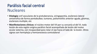 Parálisis facial central
Nucleares
• Etiologia: enf vasculares de la protuberancia, siringopontia, esclerosis lateral
amiotrofica de forma pontobulbar, tumores, poliomielitis anterior aguda, gliomas,
esclerosis multiple, etc
• Manifestaciones clínicas: el núcleo motor del VII por su cercanía al del VI, toda
lesión de esta región origina parálisis facial acompañada de lesión del motor
ocular externo, con incapacidad para rotar el ojo hacia el lado de la lesión. Otros
signos son hemiplejia y hemianestesia contralateral
 