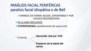 PARÁLISIS FACIAL PERIFÉRICAS
paralisis facial idiopática o de Bell
APARECE EN FORMA AGUDA, ESPONTANEA Y POR
CAUSAS DESCONOCIDAS
ES LA MAS FRECUENTE
ETIOPATOGENIA: posiblemente de causa viral
2 teorías
Neuronitis viral por VHS
Espasmo de la ateria del
nervio
 