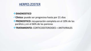 HERPES ZOSTER
DIAGNOSTICO
Clinico: puede ser progresiva hasta por 21 dias
PRONOSTICO: recuperación completa en el 10% de las
parálisis y en el 66% de las paresias
TRATAMIENTO: CORTICOESTEROIDES + ANTIVIRALES
 