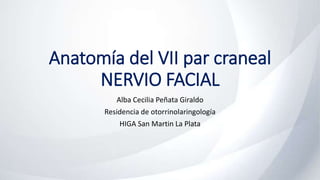 Anatomía del VII par craneal
NERVIO FACIAL
Alba Cecilia Peñata Giraldo
Residencia de otorrinolaringología
HIGA San Martin La Plata
 