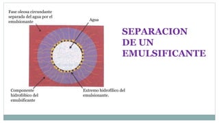 Agua
Componente
hidrofóbico del
emulsificante
Extremo hidrofílico del
emulsionante.
Fase oleosa circundante
separada del agua por el
emulsionante
SEPARACION
DE UN
EMULSIFICANTE
 