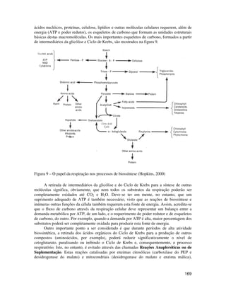 ácidos nucléicos, proteínas, celulose, lipídios e outras moléculas celulares requerem, além de 
energia (ATP e poder redutor), os esqueletos de carbono que formam as unidades estruturais 
básicas destas macromoléculas. Os mais importantes esqueletos de carbono, formados a partir 
de intermediários da glicólise e Ciclo de Krebs, são mostrados na figura 9. 
169 
Figura 9 – O papel da respiração nos processos de biossíntese (Hopkins, 2000) 
A retirada de intermediários da glicólise e do Ciclo de Krebs para a síntese de outras 
moléculas significa, obviamente, que nem todos os substratos da respiração poderão ser 
completamente oxidados até CO2 e H2O. Deve-se ter em mente, no entanto, que um 
suprimento adequado de ATP é também necessário, visto que as reações de biossíntese e 
inúmeras outras funções da célula também requerem esta fonte de energia. Assim, acredita-se 
que o fluxo de carbono através da respiração celular deve representar um balanço entre a 
demanda metabólica por ATP, de um lado, e o requerimento de poder redutor e de esqueletos 
de carbono, do outro. Por exemplo, quando a demanda por ATP é alta, maior percentagem dos 
substratos poderá ser completamente oxidada para produzir esta fonte de energia. 
Outro importante ponto a ser considerado é que durante períodos de alta atividade 
biossintética, a retirada dos ácidos orgânicos do Ciclo de Krebs para a produção de outros 
compostos (aminoácidos, por exemplo), poderá reduzir significativamente o nível de 
cetoglutarato, paralisando ou inibindo o Ciclo de Krebs e, consequentemente, o processo 
respiratório. Isto, no entanto, é evitado através das chamadas Reações Anapleróticas ou de 
Suplementação. Estas reações catalisadas por enzimas citosólicas (carboxilase do PEP e 
desidrogenase do malato) e mitocondriais (desidrogenase do malato e enzima málica), 
 