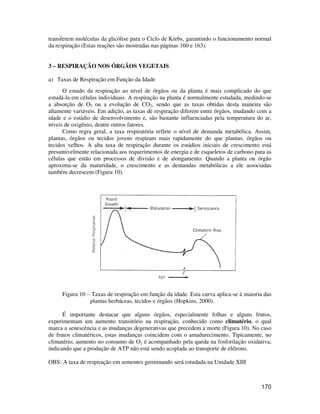 transferem moléculas da glicólise para o Ciclo de Krebs, garantindo o funcionamento normal 
da respiração (Estas reações são mostradas nas páginas 160 e 163). 
170 
3 – RESPIRAÇÃO NOS ÓRGÃOS VEGETAIS 
a) Taxas de Respiração em Função da Idade 
O estudo da respiração ao nível de órgãos ou da planta é mais complicado do que 
estudá-la em células individuais. A respiração na planta é normalmente estudada, medindo-se 
a absorção de O2 ou a evolução de CO2, sendo que as taxas obtidas desta maneira são 
altamente variáveis. Em adição, as taxas de respiração diferem entre órgãos, mudando com a 
idade e o estádio de desenvolvimento e, são bastante influenciadas pela temperatura do ar, 
níveis de oxigênio, dentre outros fatores. 
Como regra geral, a taxa respiratória reflete o nível de demanda metabólica. Assim, 
plantas, órgãos ou tecidos jovens respiram mais rapidamente do que plantas, órgãos ou 
tecidos velhos. A alta taxa de respiração durante os estádios iniciais de crescimento está 
presumivelmente relacionada aos requerimentos de energia e de esqueletos de carbono para as 
células que estão em processos de divisão e de alongamento. Quando a planta ou órgão 
aproxima-se da maturidade, o crescimento e as demandas metabólicas a ele associadas 
também decrescem (Figura 10). 
Figura 10 – Taxas de respiração em função da idade. Esta curva aplica-se à maioria das 
plantas herbáceas, tecidos e órgãos (Hopkins, 2000). 
É importante destacar que alguns órgãos, especialmente folhas e alguns frutos, 
experimentam um aumento transitório na respiração, conhecido como climatério, o qual 
marca a senescência e as mudanças degenerativas que precedem a morte (Figura 10). No caso 
de frutos climatéricos, estas mudanças coincidem com o amadurecimento. Tipicamente, no 
climatério, aumento no consumo de O2 é acompanhado pela queda na fosforilação oxidativa, 
indicando que a produção de ATP não está sendo acoplada ao transporte de elétrons. 
OBS: A taxa de respiração em sementes germinando será estudada na Unidade XIII 
 