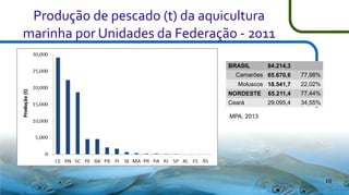 Produção de pescado (t) da aquicultura
marinha por Unidades da Federação - 2011
BRASIL

84.214,3

Camarões 65.670,6

77,98%

Moluscos 18.541,7

22,02%

NORDESTE

65.211,4

77,44%

Ceará

29.095,4

34,55%

MPA, 2013

10

 
