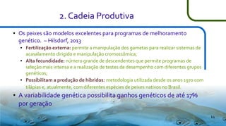 2. Cadeia Produtiva
●

Os peixes são modelos excelentes para programas de melhoramento
genético. – Hilsdorf, 2013
●

●

●

●

Fertilização externa: permite a manipulação dos gametas para realizar sistemas de
acasalamento dirigido e manipulação cromossômica;
Alta fecundidade: número grande de descendentes que permite programas de
seleção mais intensa e a realização de testes de desempenho com diferentes grupos
genéticos;
Possibilitam a produção de híbridos: metodologia utilizada desde os anos 1970 com
tilápias e, atualmente, com diferentes espécies de peixes nativos no Brasil.

A variabilidade genética possibilita ganhos genéticos de até 17%
por geração
16

 
