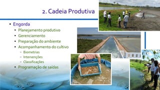 2. Cadeia Produtiva
●

Engorda
●
●
●
●

Planejamento produtivo
Gerenciamento
Preparação do ambiente
Acompanhamento do cultivo
–
–
–

●

Biometrias
Intervenções
Classificações

Programação de saídas

17

 