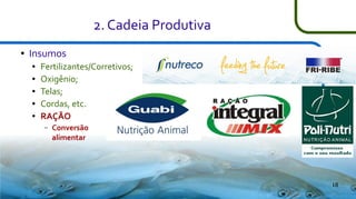 2. Cadeia Produtiva
●

Insumos
●
●
●
●
●

Fertilizantes/Corretivos;
Oxigênio;
Telas;
Cordas, etc.
RAÇÃO
–

Conversão
alimentar

18

 