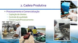 2. Cadeia Produtiva
●

Processamento e Comercialização




Captação de clientes
Controle de qualidade
Conservação/Processamento

19

 