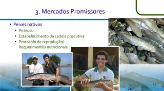 3. Mercados Promissores
●

Peixes nativos
●
●
●

Pirarucu
Estabelecimento da cadeia produtiva
Protocolo de reprodução/
Requerimentos nutricionais

25

 