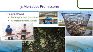 3. Mercados Promissores
●

Peixes nativos
●
●

Pintado/Cachara (surubim)
Há mercado internacional

26

 
